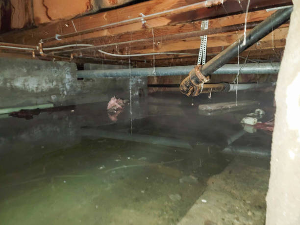 Best Flooded house restoration  in Collegeville, PA