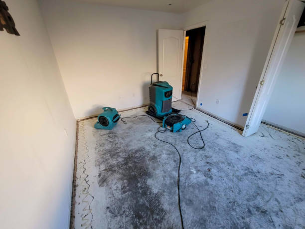 Best Water damage restoration insurance claims  in Collegeville, PA