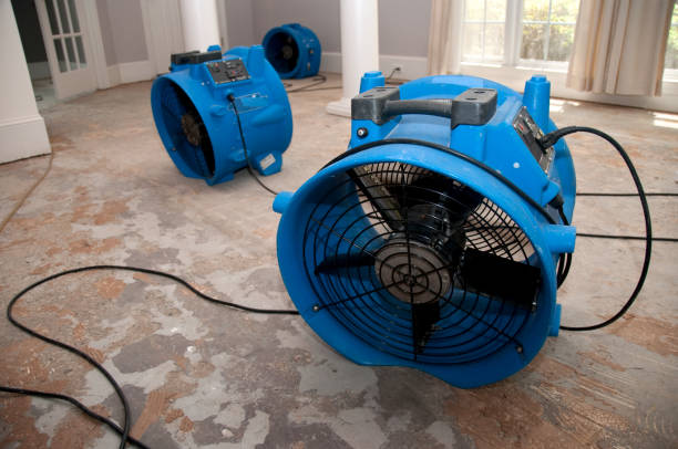 Best Residential water damage restoration  in Collegeville, PA