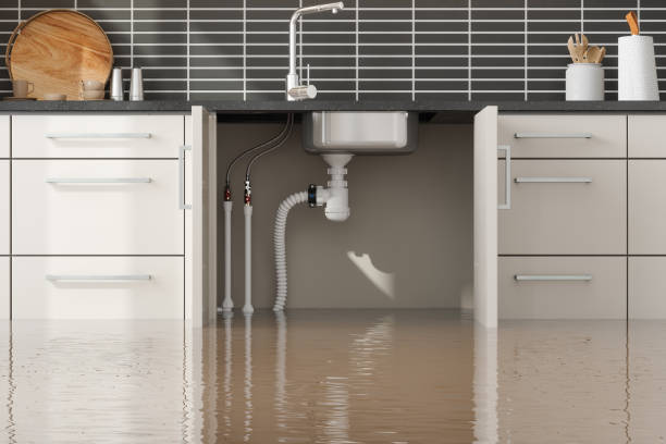 Best Carpet water damage restoration  in Collegeville, PA