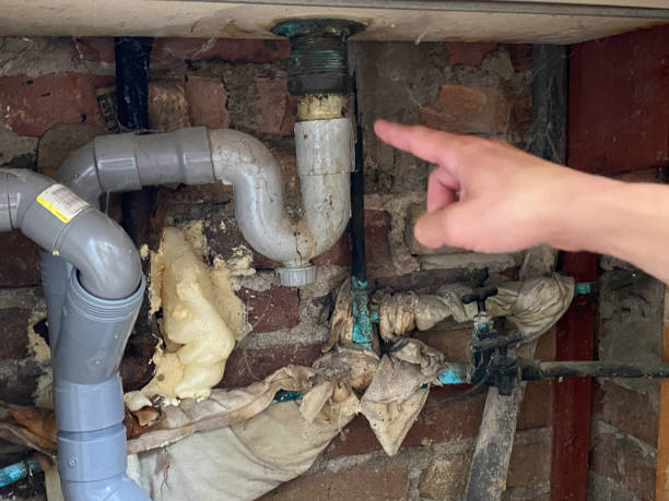 Trusted Collegeville, PA Water damage restoration Experts