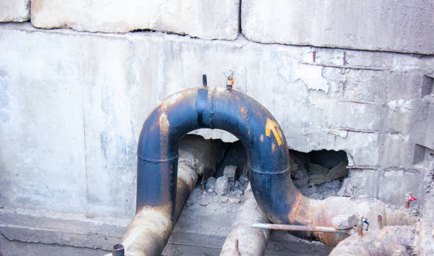 Best Flood damage cleanup  in Collegeville, PA