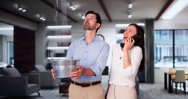 Best Water damage restoration near me  in Collegeville, PA